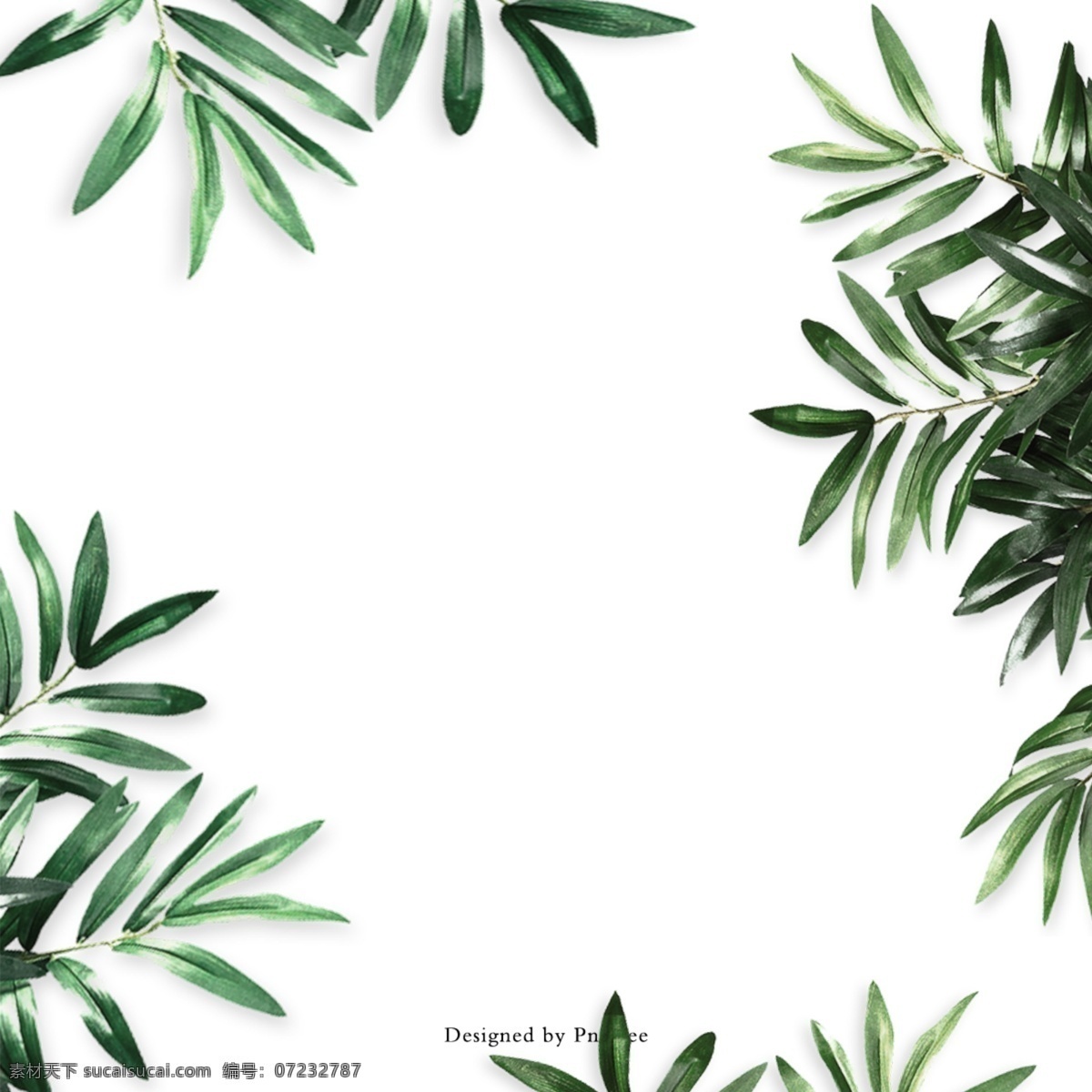 卡通 手绘 秋季 元素 绘画 艺术 插图 自然 植物 季节 秋天 树叶