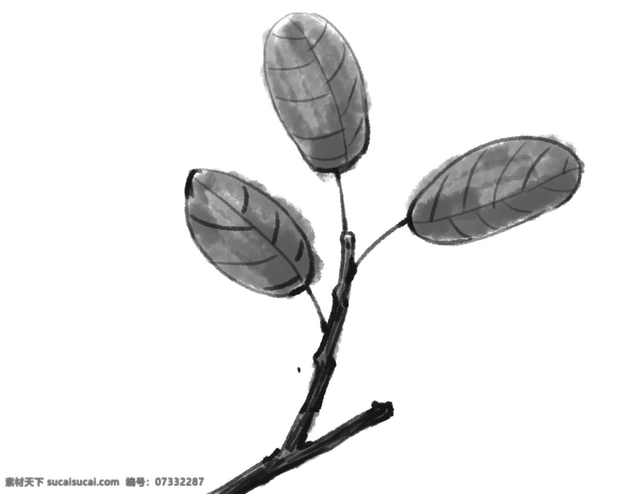 卡通 水墨 树叶 插画 黑色的树叶 卡通植物插画 精美的树叶 中国 风 植物 水墨树叶 黑色叶子