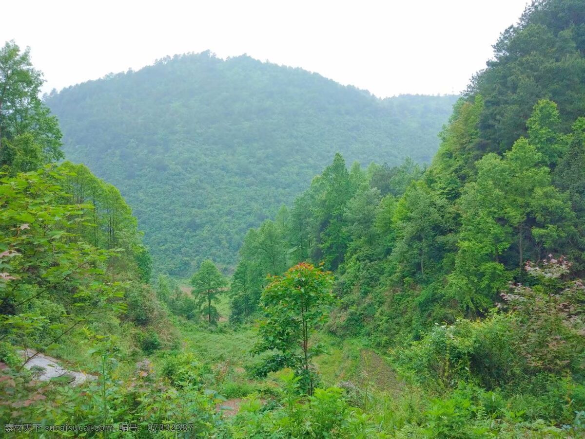 大山树林 山 树 农村 绿色 乡村 森林 自然景观