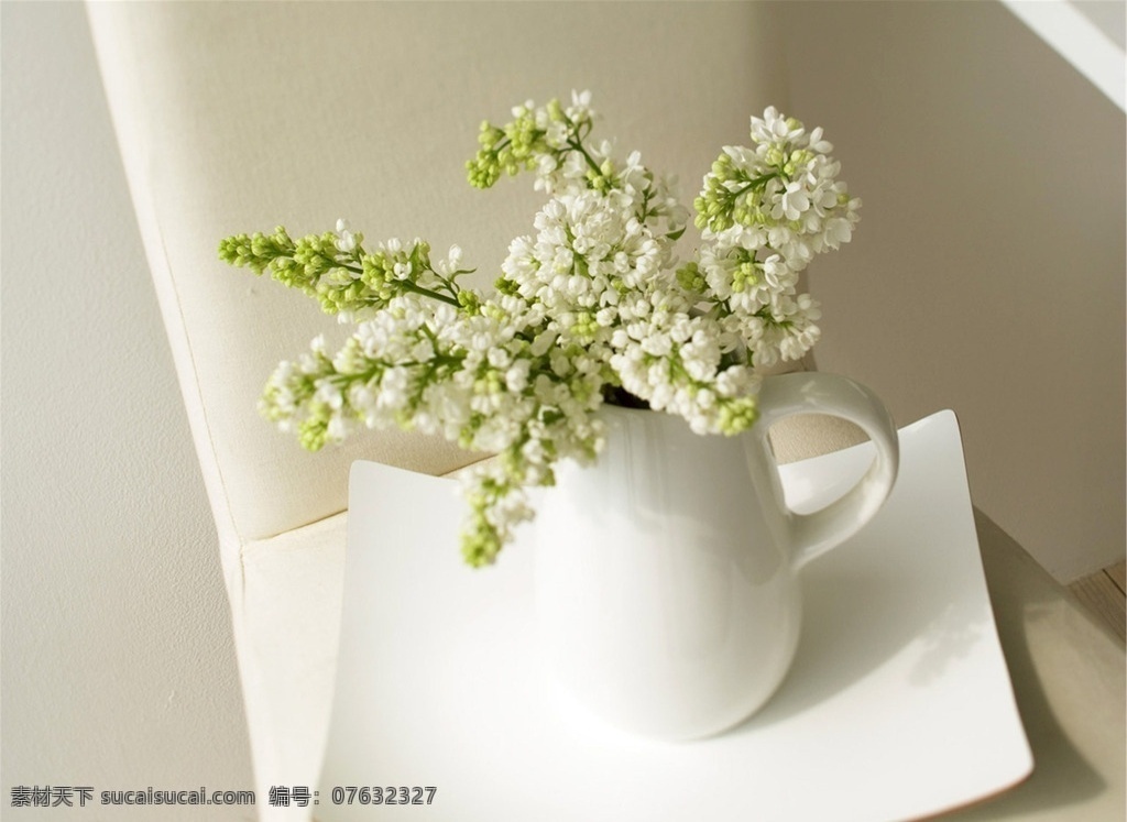 鲜艳花朵 郁金香 玫瑰花 菊花 向日葵 油菜花 花朵 花束 花 花苞 花骨朵 鲜花 花丛 花海 花蕊 花蕾 花瓣 观赏花 一支鲜花 一束鲜花 含苞待放 马蹄莲 荷包牡丹 绽放的花朵 萱草 康乃馨 紫藤花 花卉草植丶 生物世界 花草