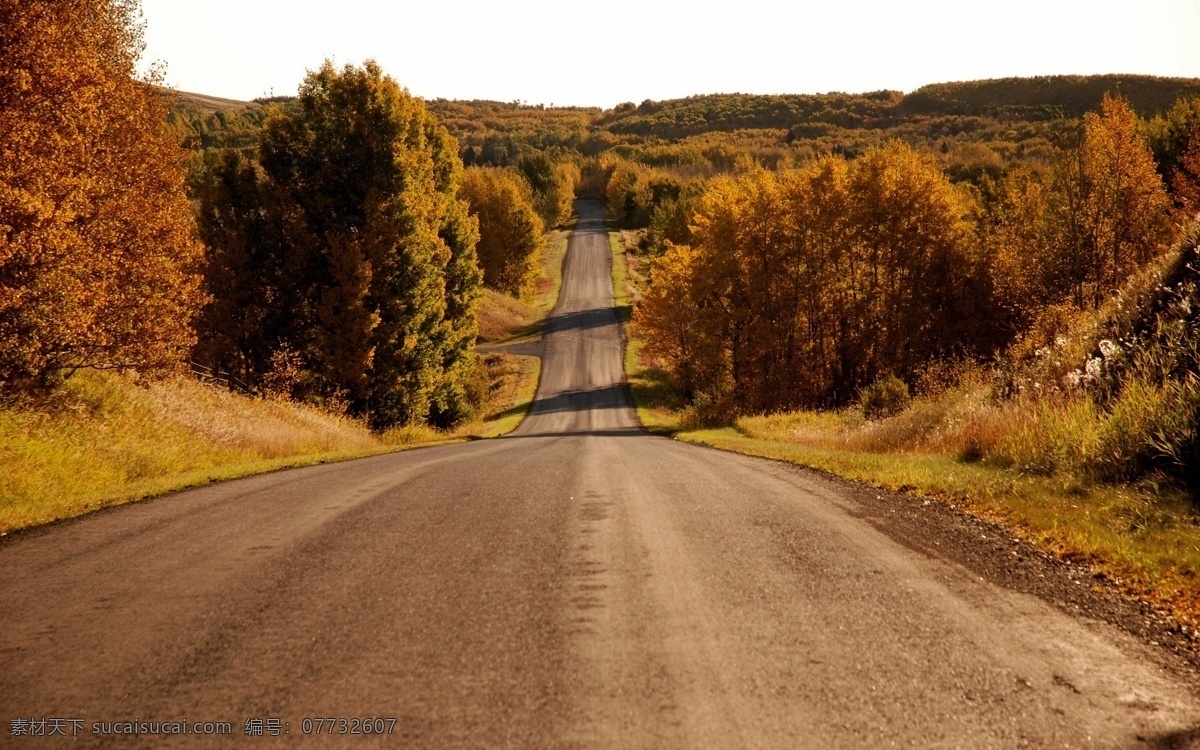 公路风景 延伸的公路 公路 自然风景 风景壁纸 树林 自然景观