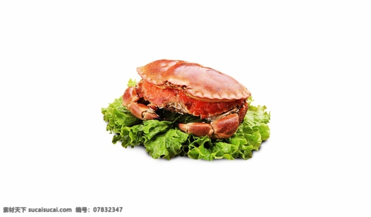 海鲜 食物 帝王 蟹 螃蟹 蟹黄 蔬菜 美味 搭配 餐饮 帝王蟹 海洋 生菜