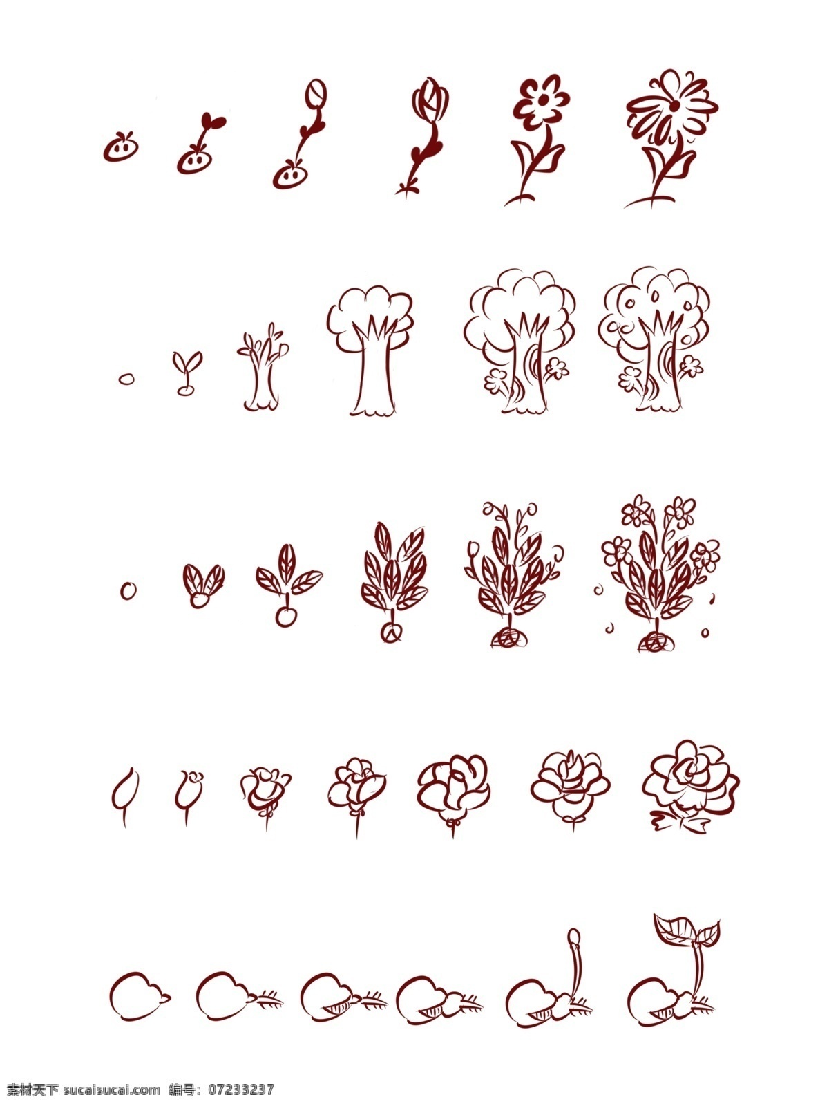 简 笔画 手绘 植物 生长 过程 简笔植物 植物生长 树木 花草 花草生长 豆芽生长