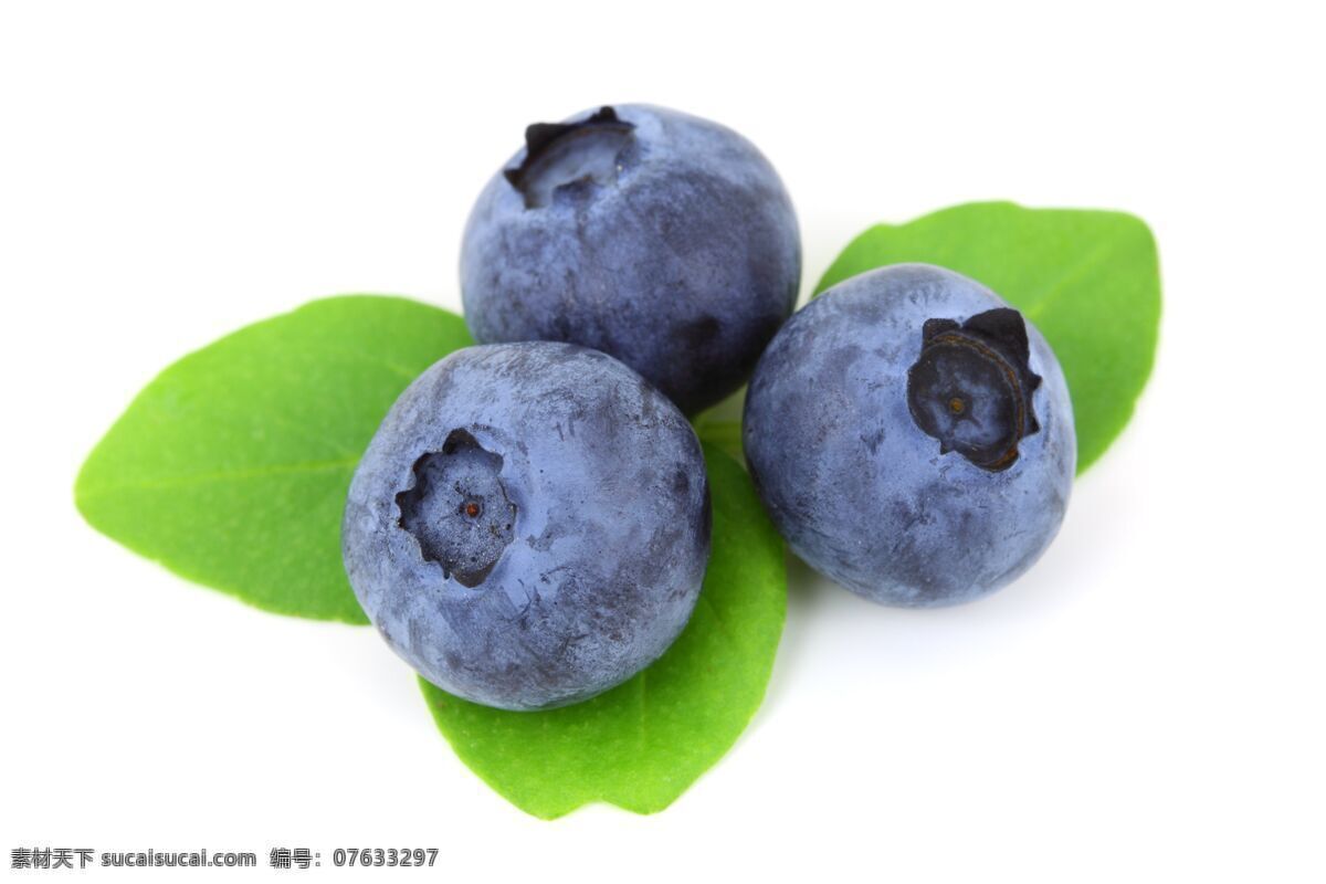 新鲜的蓝莓 水果 新鲜 美味 蓝莓 酸甜 生物世界