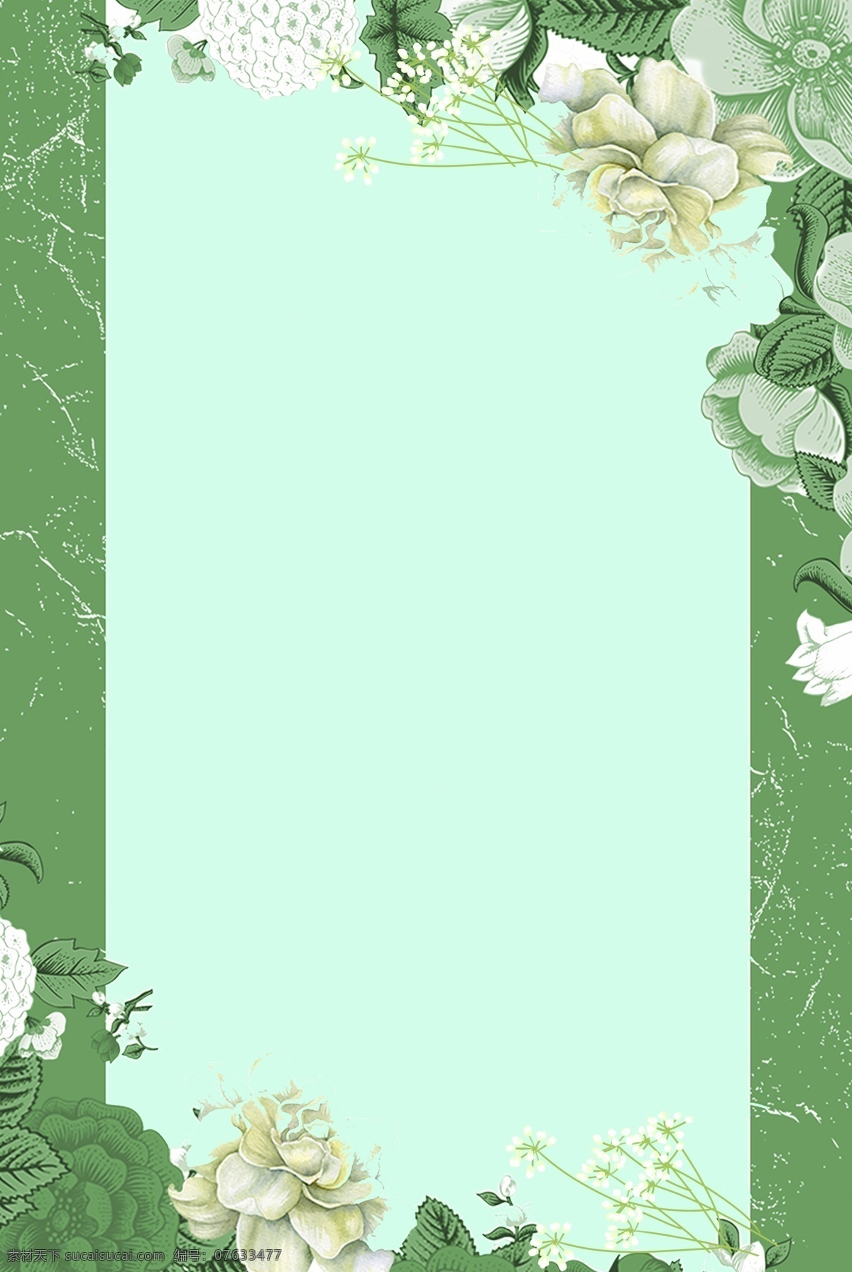 小 清新 绿色 花朵 背景 小清新 文艺 简约 唯美 白色 绣球花