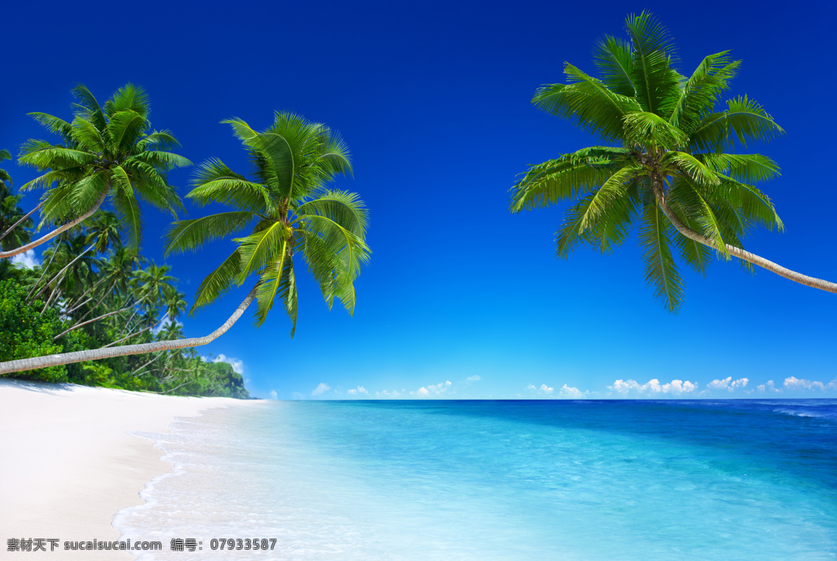 大海 美景 椰树 海滩风景 沙滩风景 大海美景 海面 蓝天白云 美丽风景 景色 自然风景 自然景观 蓝色