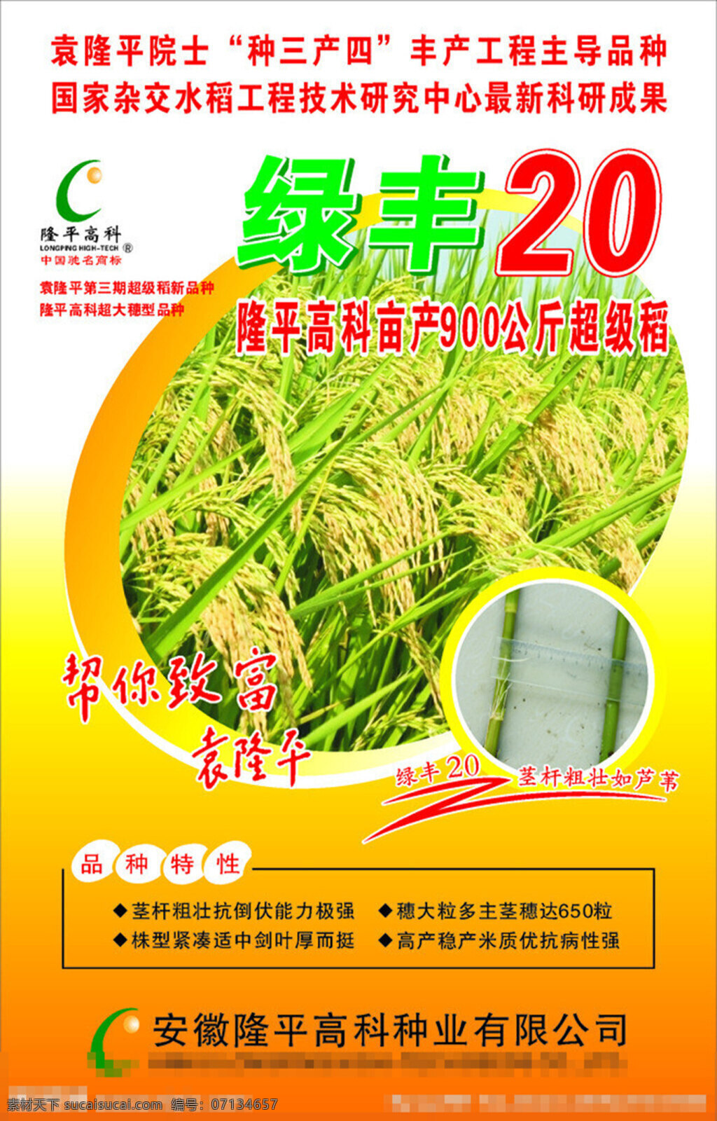 水稻种子 包装设计 绿丰20 水稻 水稻种子包装 两 优 号 包装 稻粒 底纹 商标 隆平高科 袁隆平 矢量 黄色