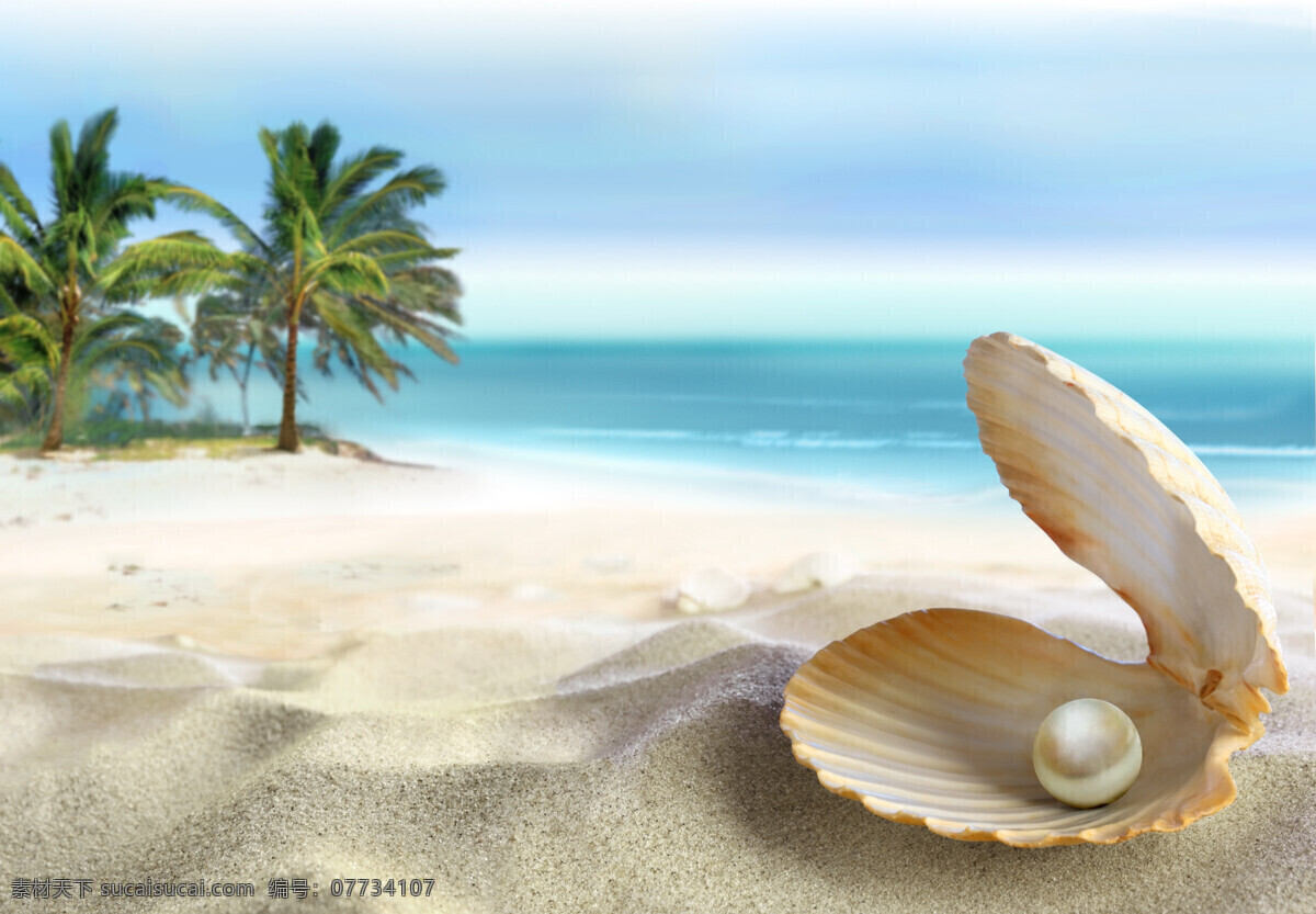 沙滩 上 贝壳 珍珠 扇贝 椰树 美丽海滩风景 沙滩风景 水中生物 生物世界