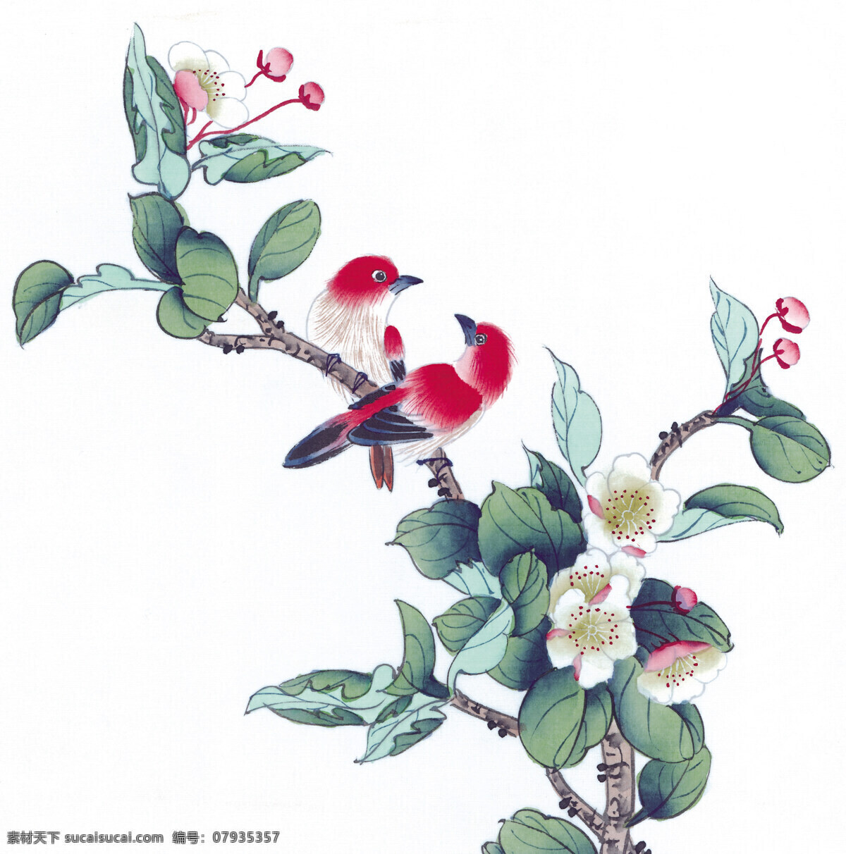 中式 花鸟 工笔画 花朵 花卉 花草 鸟 中国风 中式工笔画 文化艺术 绘画书法