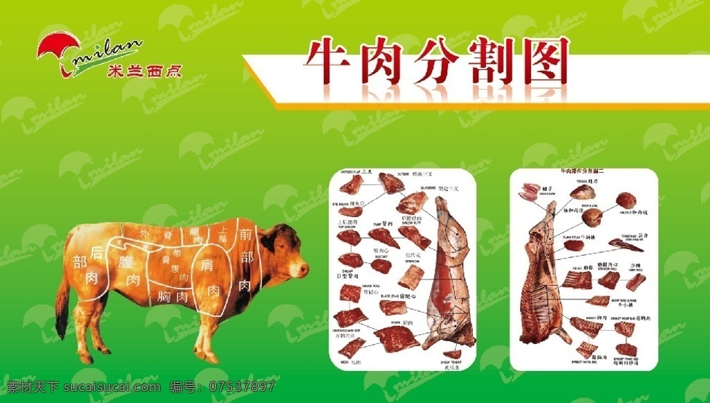 牛肉分割图 分割图 牛肉 牛 展板 展示板 米兰西点 标志 米兰西点标志 展板模板 广告设计模板 源文件