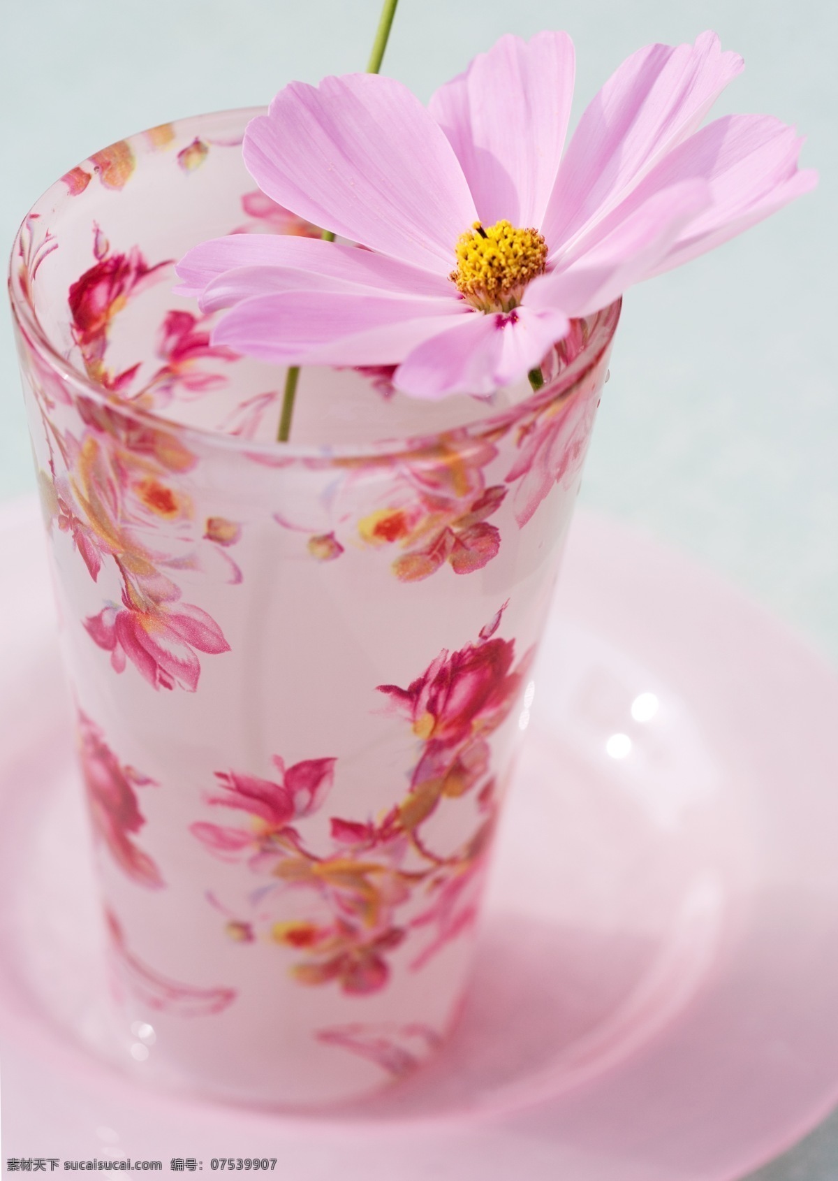 饮料 餐饮美食 粉色花朵 唯美花朵 小清新花朵 饮料酒水 小鲜花 psd源文件 餐饮素材