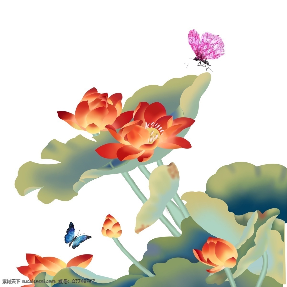 红莲 戏 碟 手绘 商用 元素 复古 写实 植物花卉 蝴蝶 插画