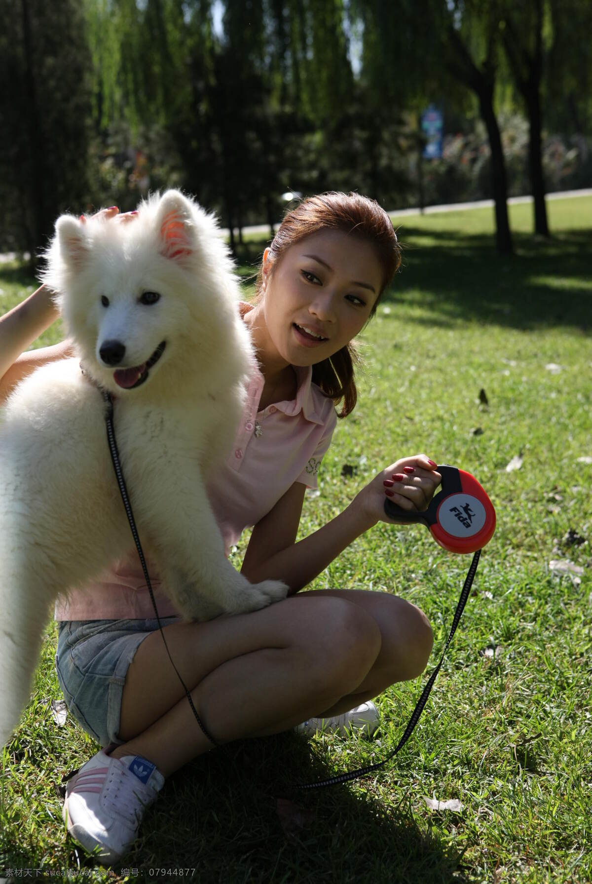 狗狗与美女 狗狗 美女 牵狗器 牵引带 可伸缩 人物摄影 人物图库