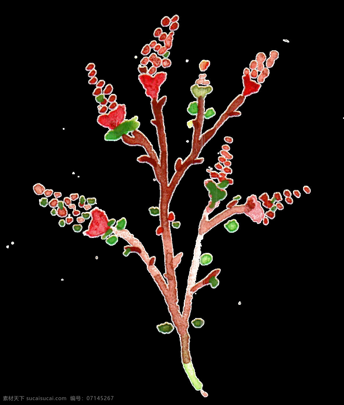 圣诞 枝叶 透明 装饰 红色 花枝 免扣素材 透明素材 装饰图案