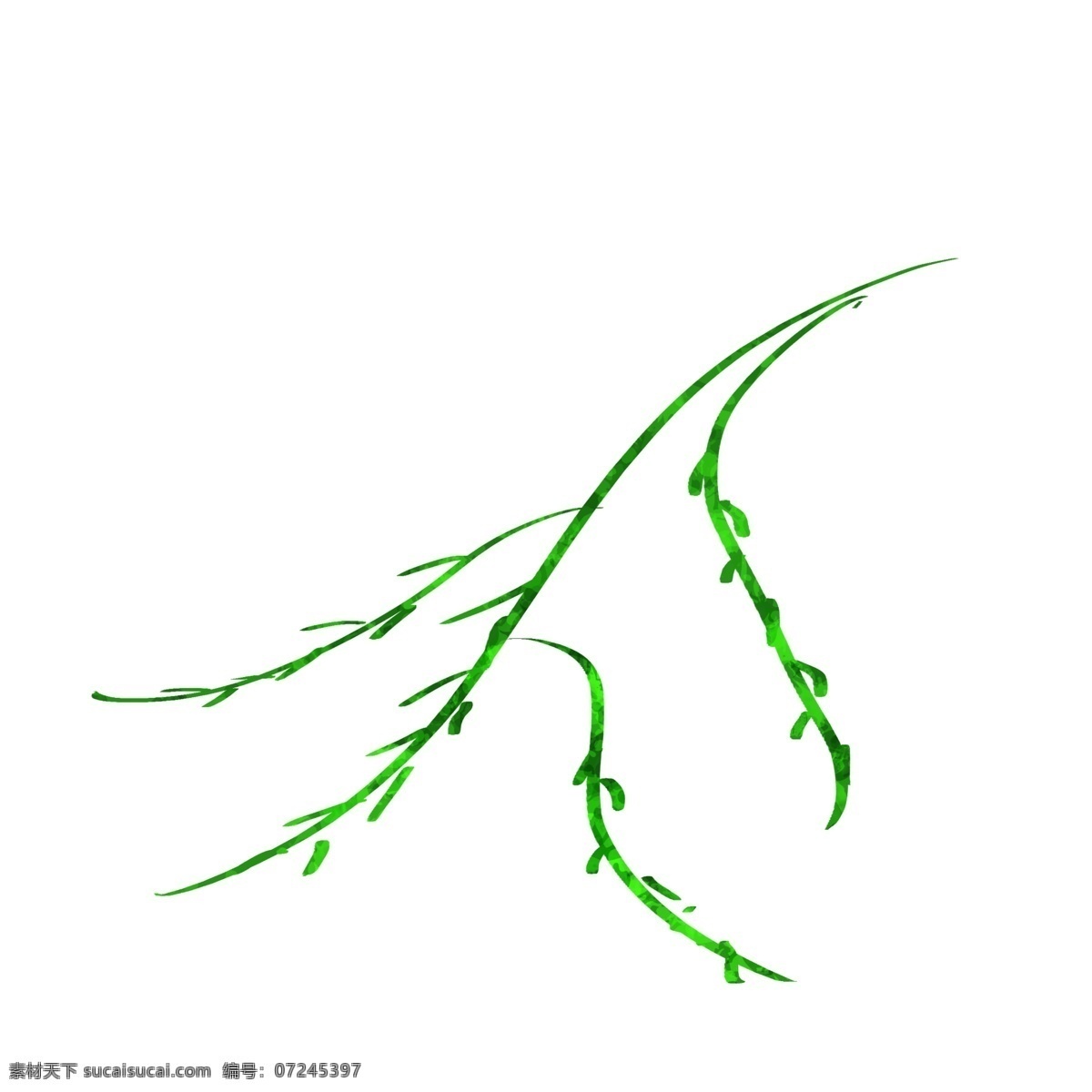 手绘 柳树 插画 卡通 风格 肌理 扁平 植物 柳树枝插画 卡通手绘装饰 装饰 图案 清明节