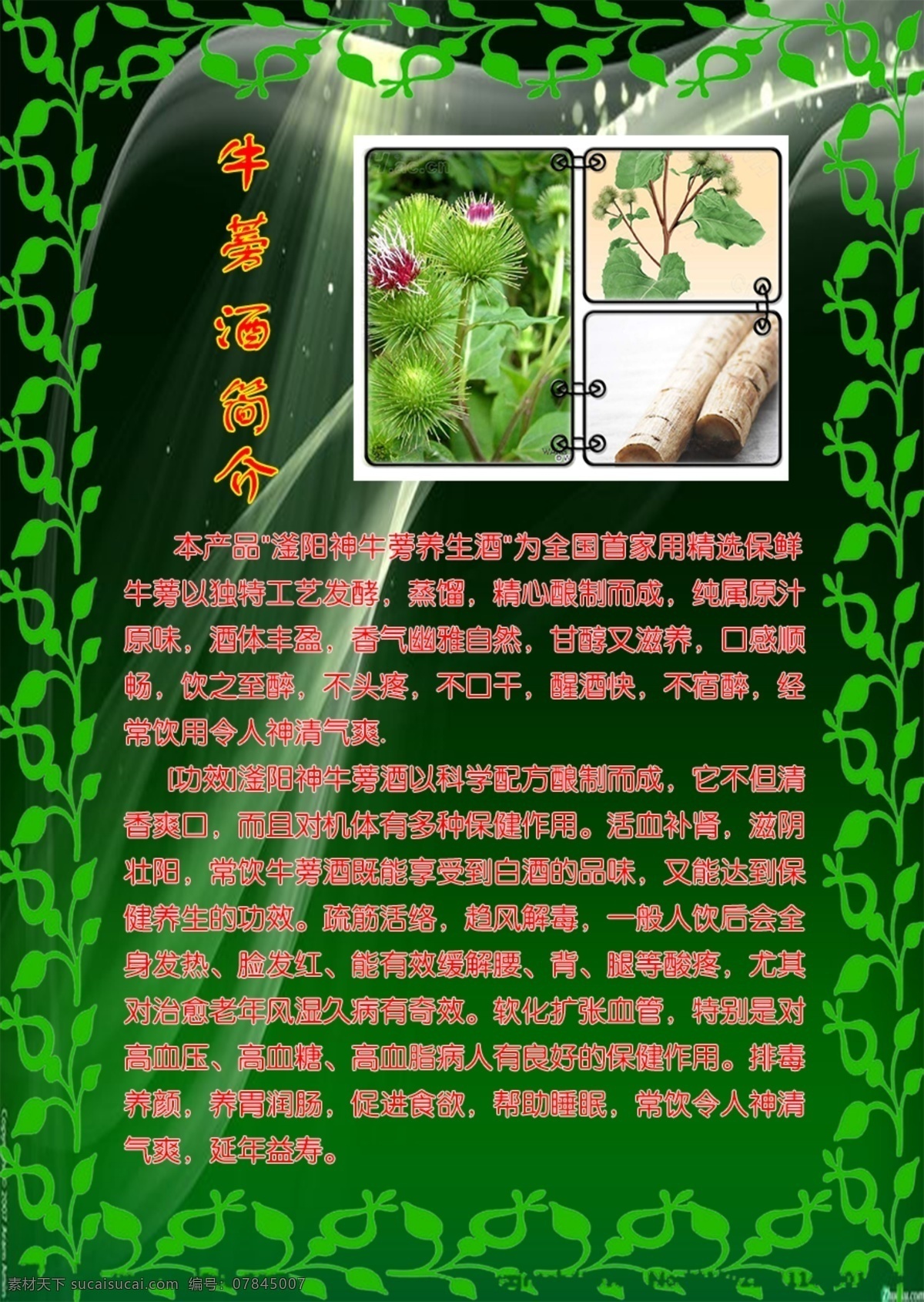 牛蒡 牛蒡酒 酒业 老白干 白酒 dm宣传单