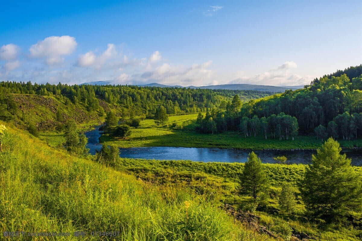 森林风景图片 自然景观 森林风景 行道树 行道树风景 自然风景 唯美风景 风景 风景图片 风景壁纸 大自然风景 自然风光 大自然风光 唯美图片 唯美壁纸 创意图片 植物 植物图片 绿色植物 花草树木 电脑壁纸 美景 美景图片 美景壁纸 旅游风景 森林 森林景观 森林植物