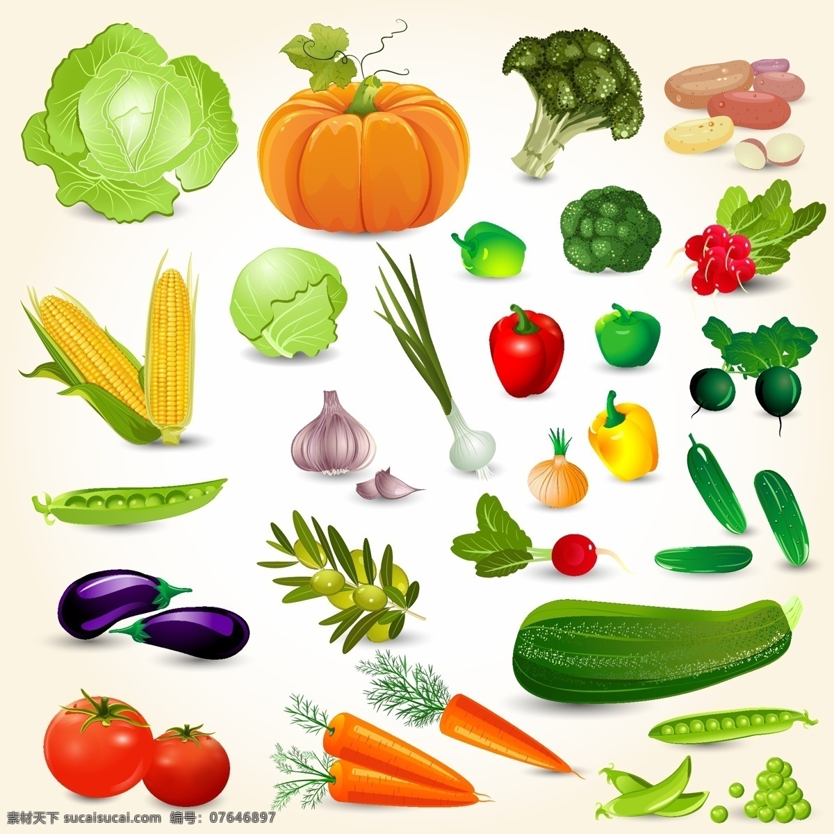 新鲜 美味 蔬菜 水果 插画 静物 卷芯菜 茄子 胡萝卜 西兰花
