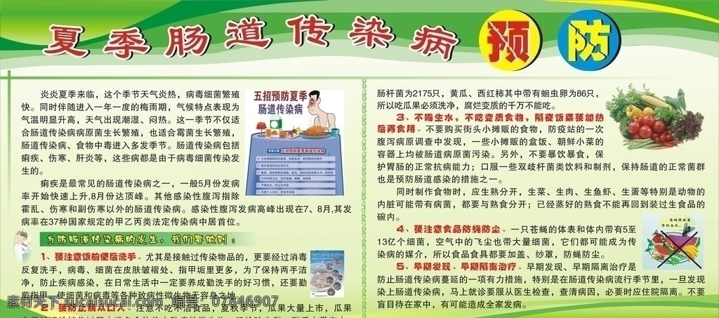 肠道感染预防 肠道 健康教育宣传 矢量