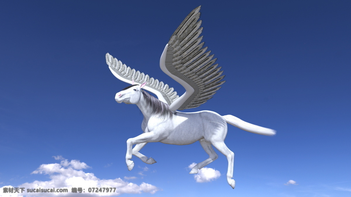 天空 中 飞跃 飞马 蓝天白云 立体马 3d动物 立体动物 陆地动物 动物世界 卡通动物 漫画动物 其他类别 生活百科