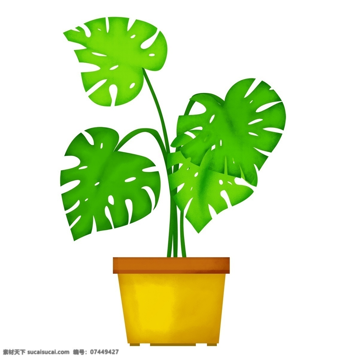 绿色植物 树叶 龟背 叶 盆栽 室内装饰 简约 手绘 风 绿叶 手绘植物 龟背叶