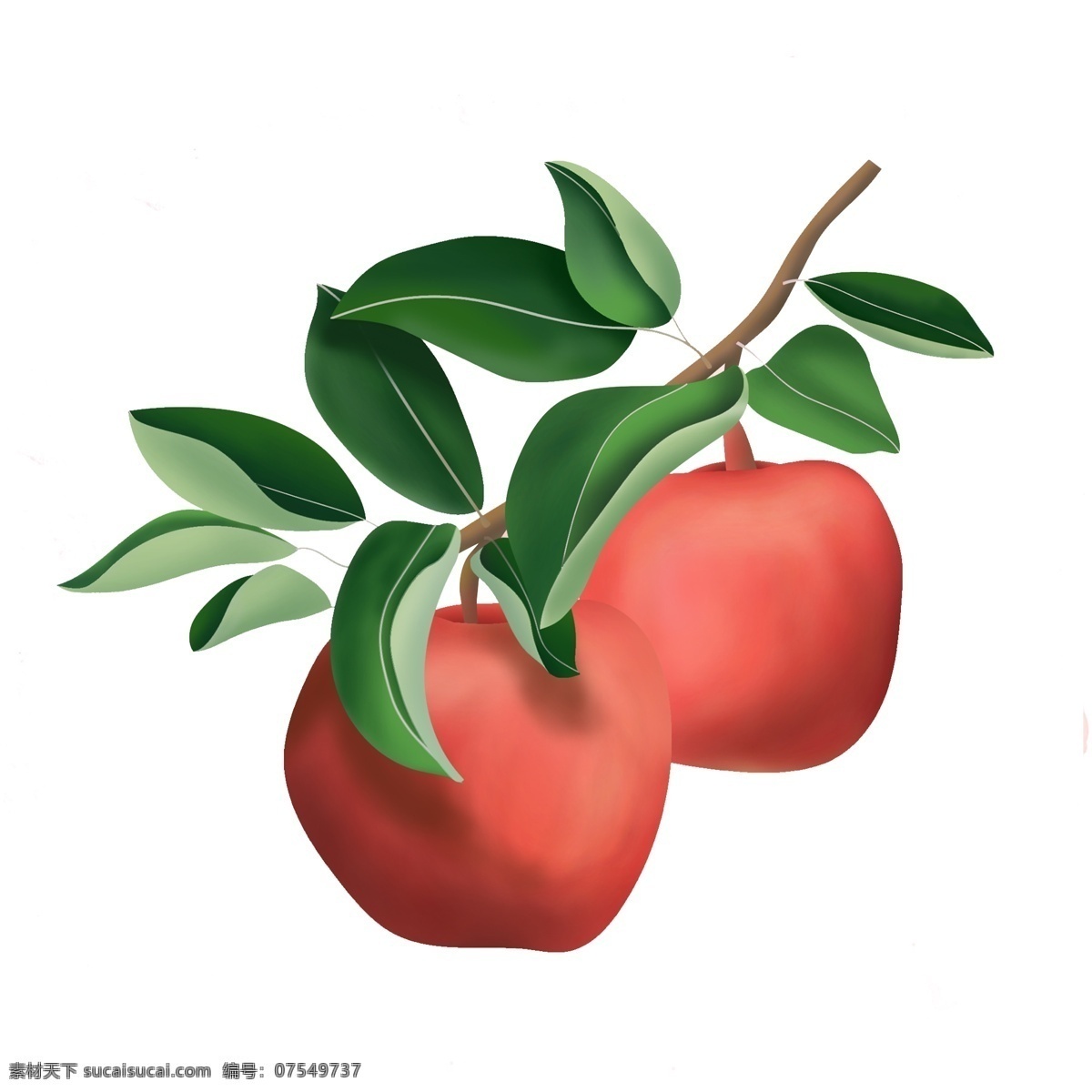 卡通 红苹果 水果 元素 美食 美味 食物 透明素材 免抠元素