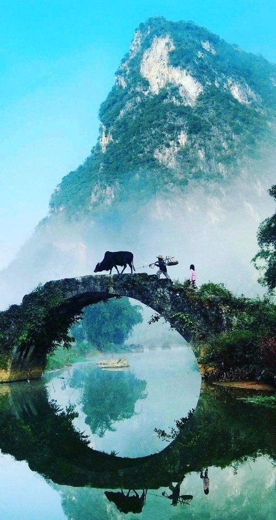 清晨牧童牵牛 清晨 牧童 牛 小桥流水 拱桥 雾 自然景观 田园风光