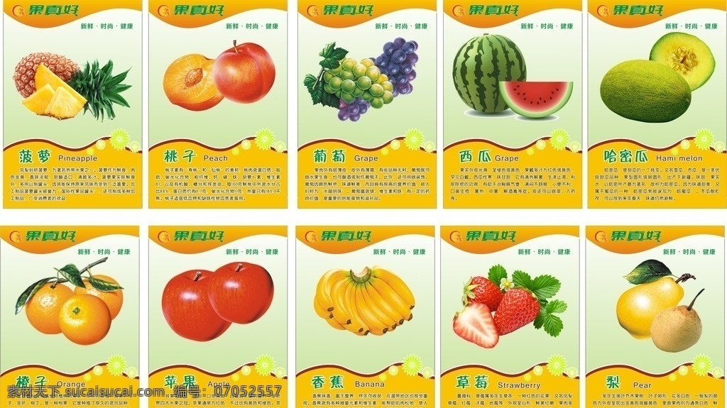 水果挂图 水果 挂图 苹果 梨子 香蕉 橙子 西瓜 草莓 菠萝 桃子 哈密瓜 葡萄 水果介绍