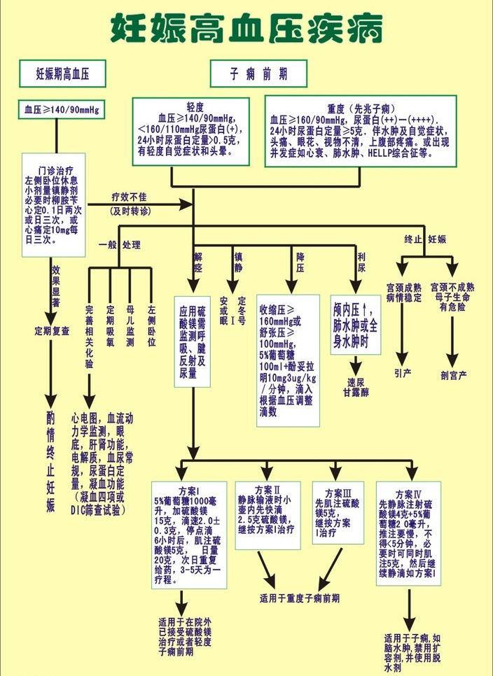 处理 方案 妇产科 高血压 生活百科 心电图 医疗保健 妊娠 疾病 产房 妊娠期 前期 轻重度 先兆 门诊治疗 效果显著 葡萄糖 静脉输液 硫酸镁 肌注 肝肾功能 矢量 海报 其他海报设计
