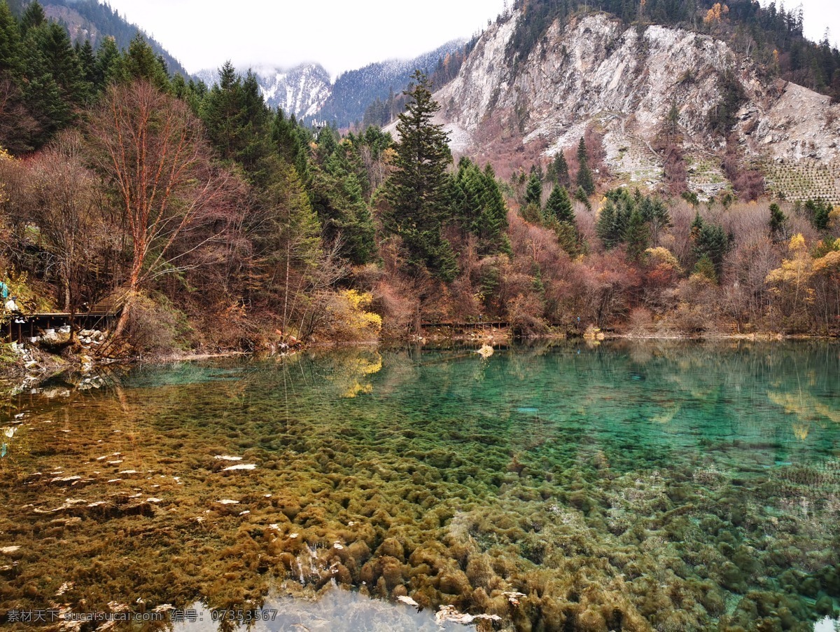九寨沟 四川 九寨溝 高原 秋天 溪水 河流 落叶 初冬 红叶 山涧 旅游摄影 国内旅游