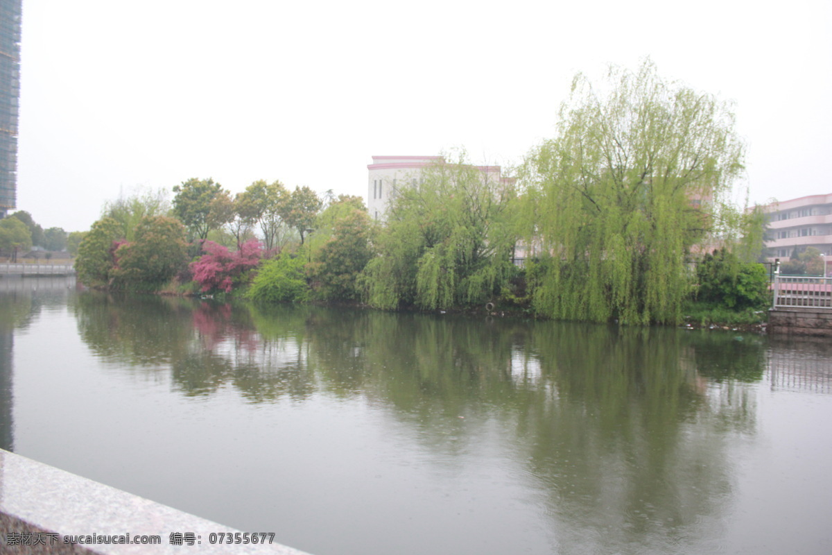 公园 湖 景 春天 国内旅游 柳树 旅游摄影 雨天 公园湖景 人造湖 psd源文件