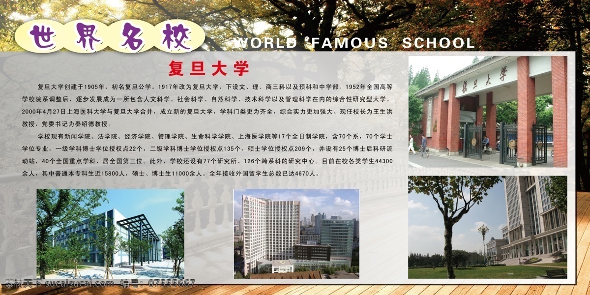 世界 名校 复旦大学 世界名校 分层 源文件库