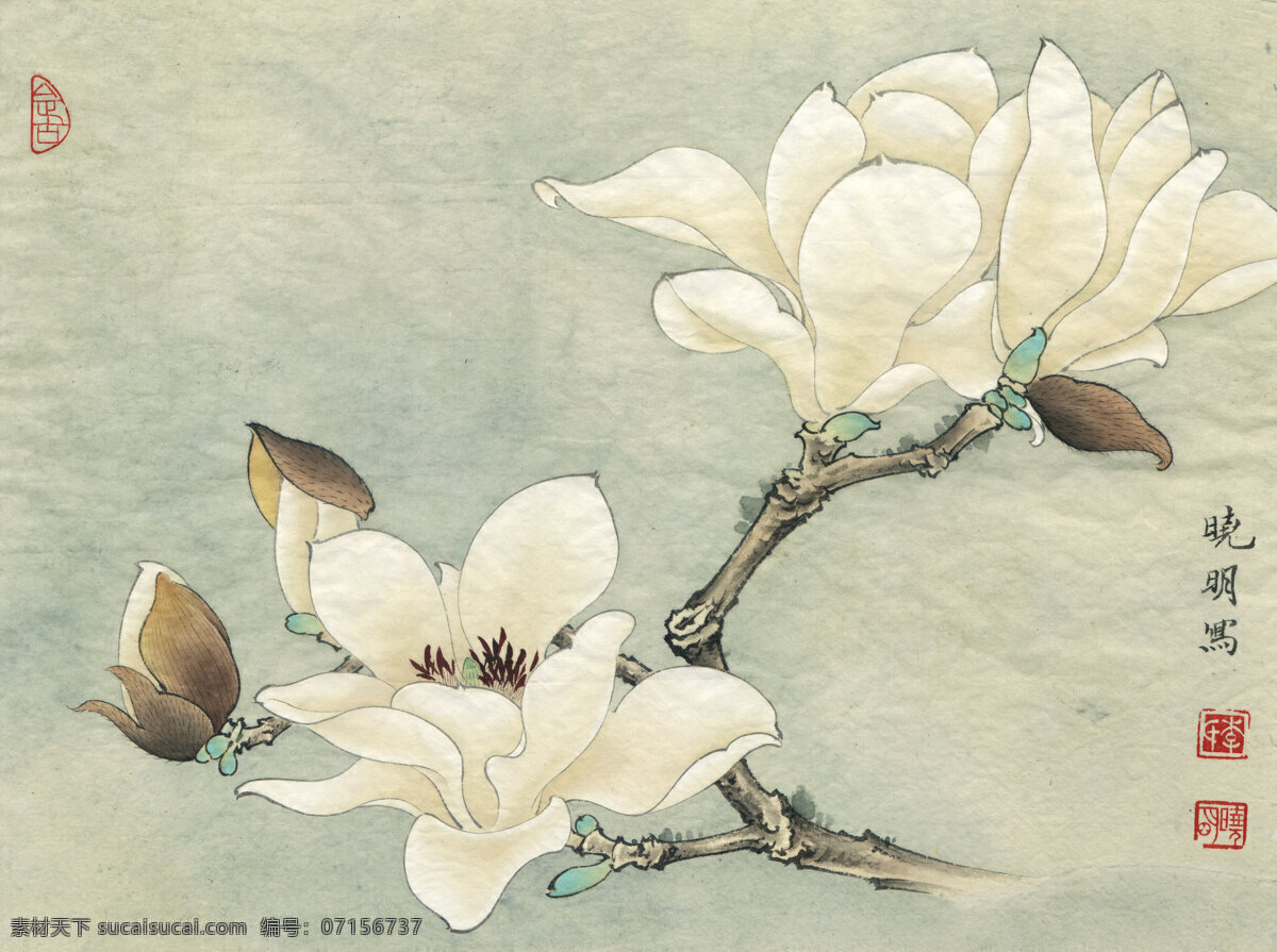 李晓明 工笔 花鸟 高清 图 工笔画 字画 国画 走廊挂画 客厅挂画 教室挂画 花鸟画 工笔花鸟 工笔国画 工笔荷花 工笔画欣赏 工笔画素材 文化艺术 绘画书法 高清工笔画 风景