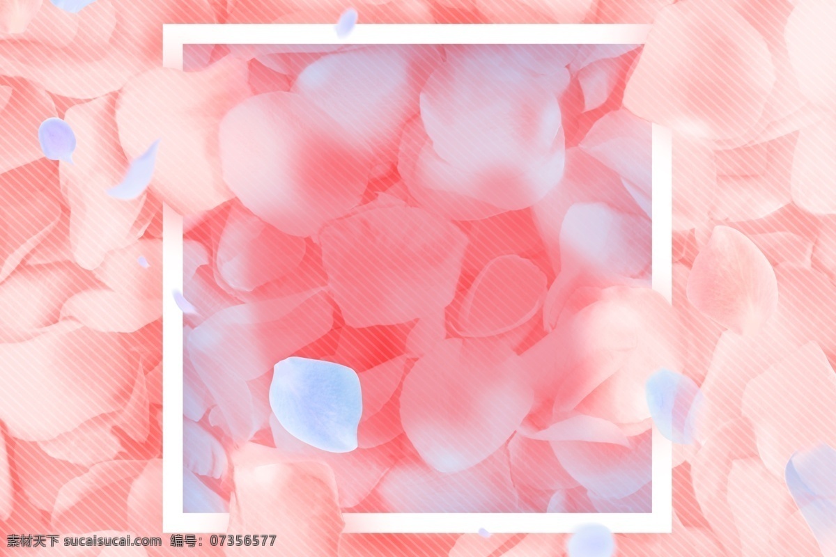 彩绘 玫瑰花 海报 背景 花朵 花卉 梦幻 花瓣 浪漫桃花节 桃花园 粉色系