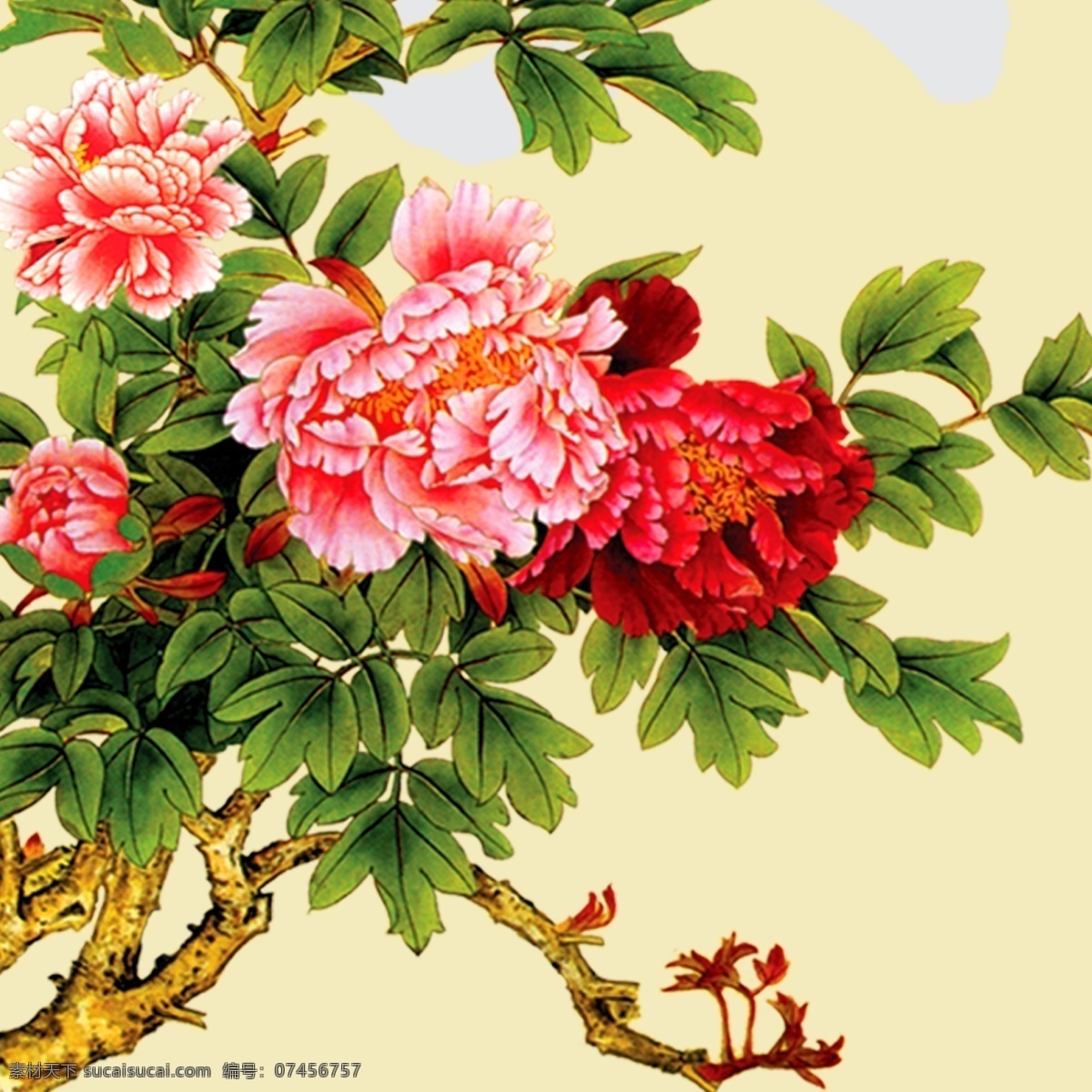 芍药花 壁画 富贵 高清画 家和 家居装饰画 墙画 芍药 无框画 无 框 画素 材 画 模板下载 玄关装饰画 玄关无框画 装饰素材