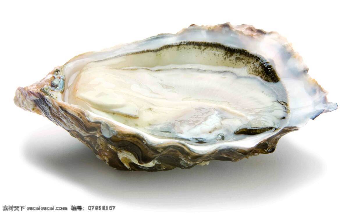 海鲜 蚝 煮熟的生蚝 一元生蚝 小生蚝 牡蛎 烧生蚝 烤生蚝 生蚝清蒸 餐饮美食 食物原料