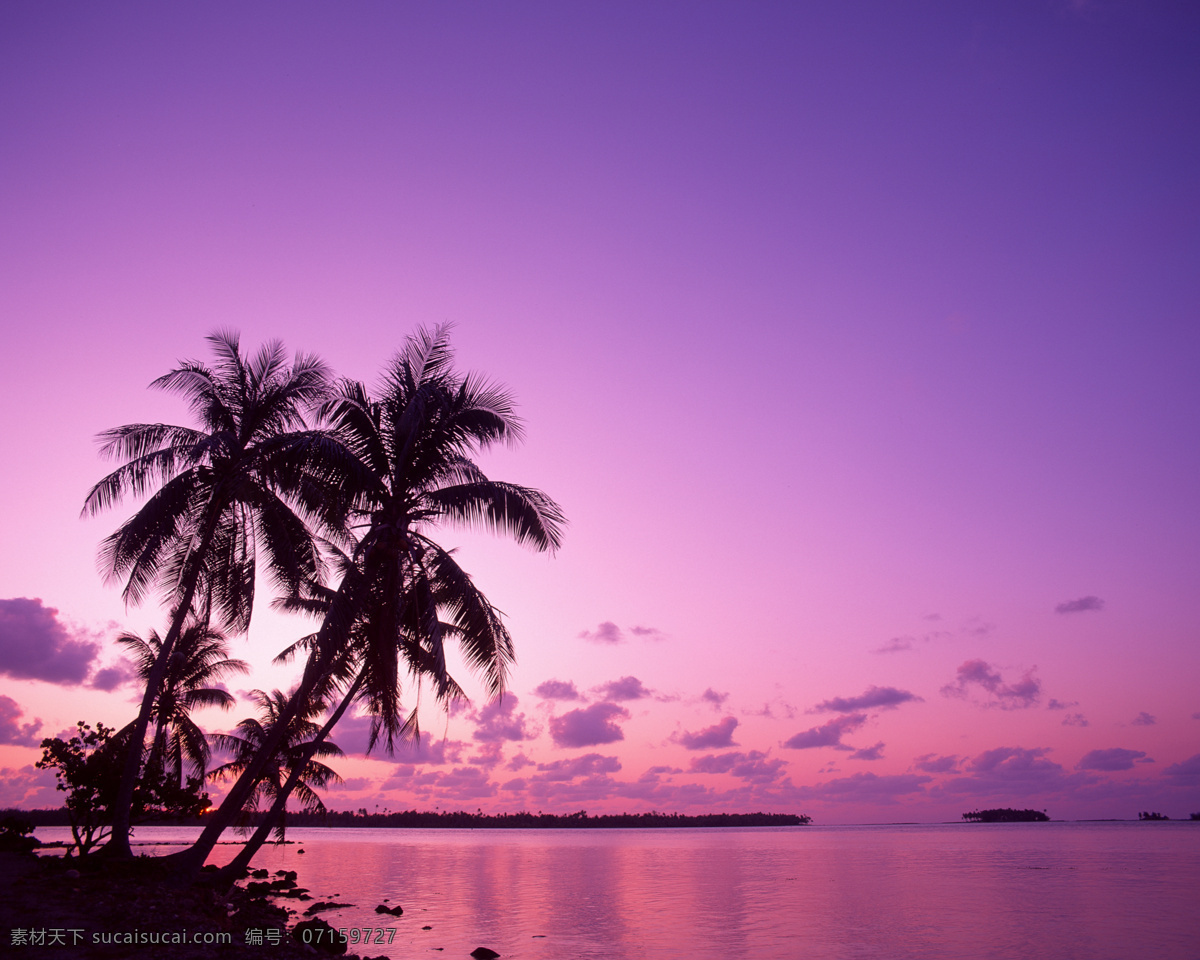 夕阳景观 蓝天 椰树 天空 风景 自然风景 自然景观