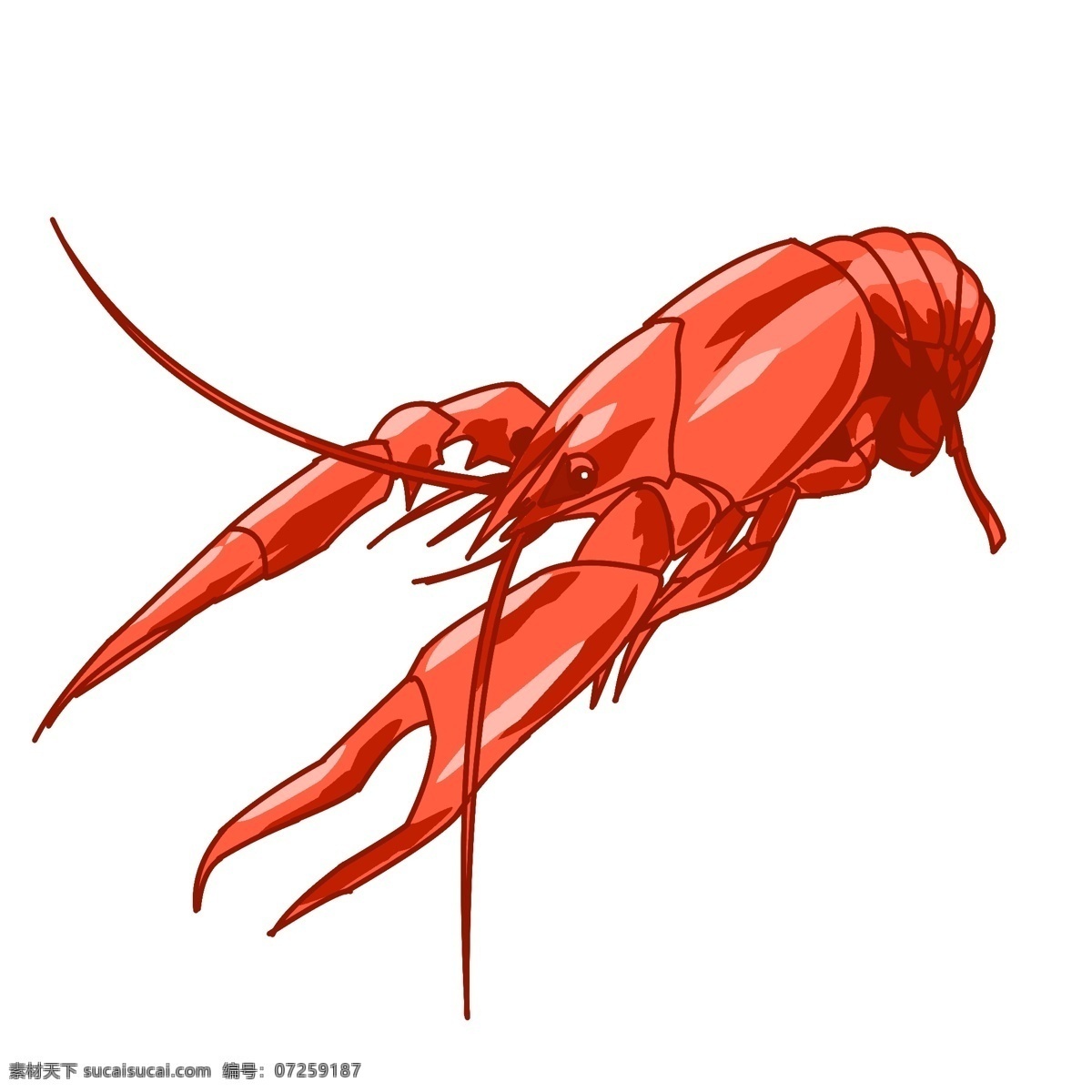 红色 大 钳子 龙虾 小龙虾 海洋 动物