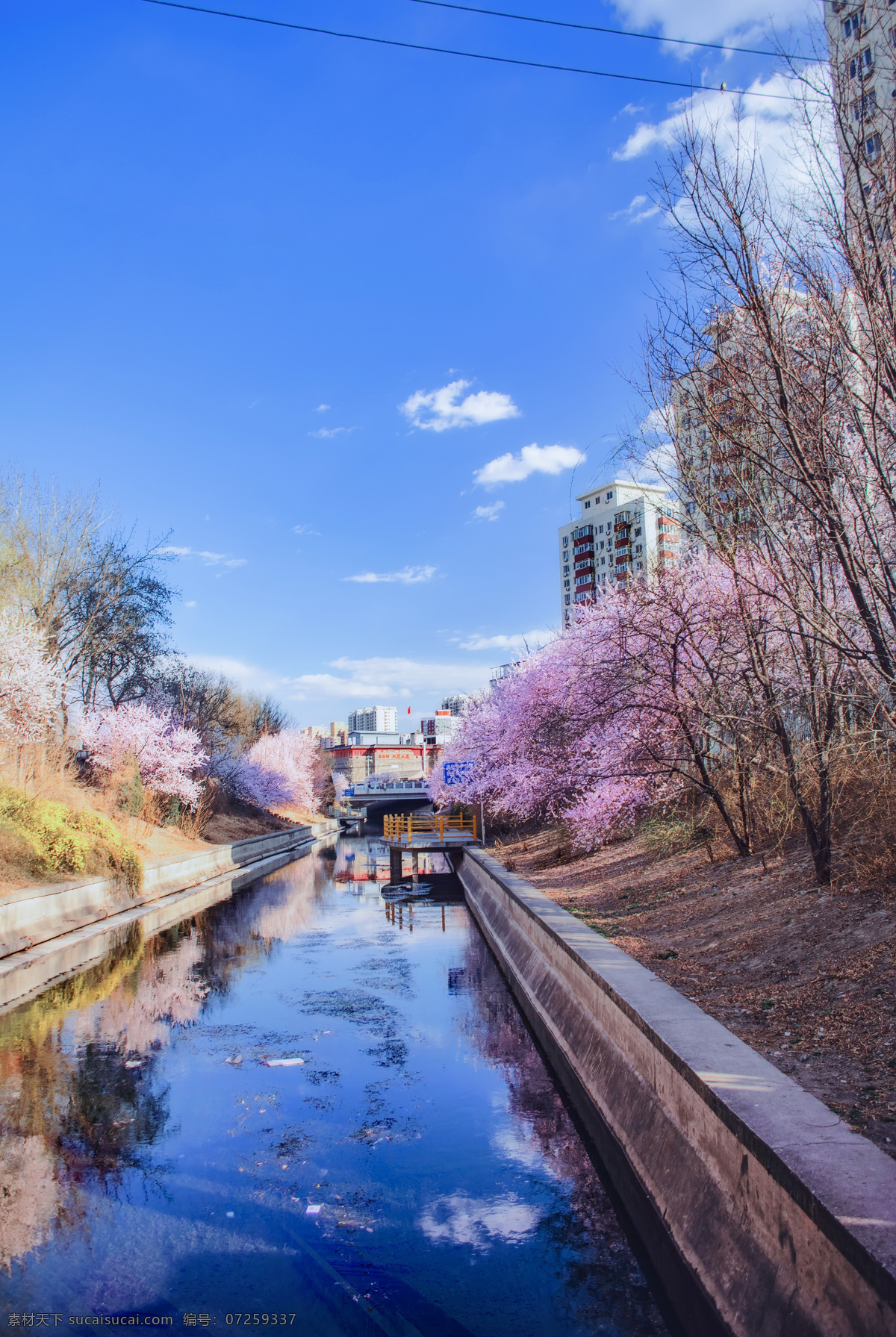 风景图 樱花 河流 高清 城市 大河 河边 蓝天 白云 大楼 楼 河 花 蓝色 粉色 白色 墙 自然景观