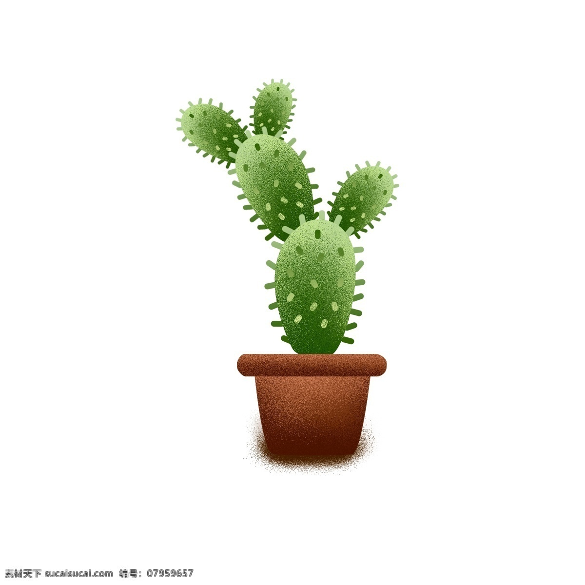 手绘 盆 仙人掌 植物 盆栽 插画