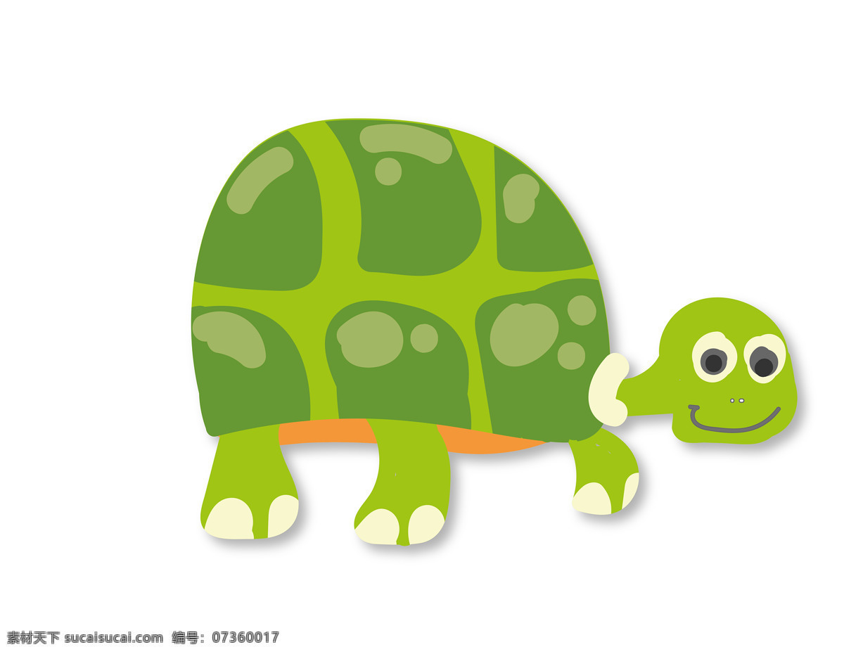 甲鱼 装甲 水龟 龟壳 孤立 动物 生物 插画 分享 生物世界 野生动物