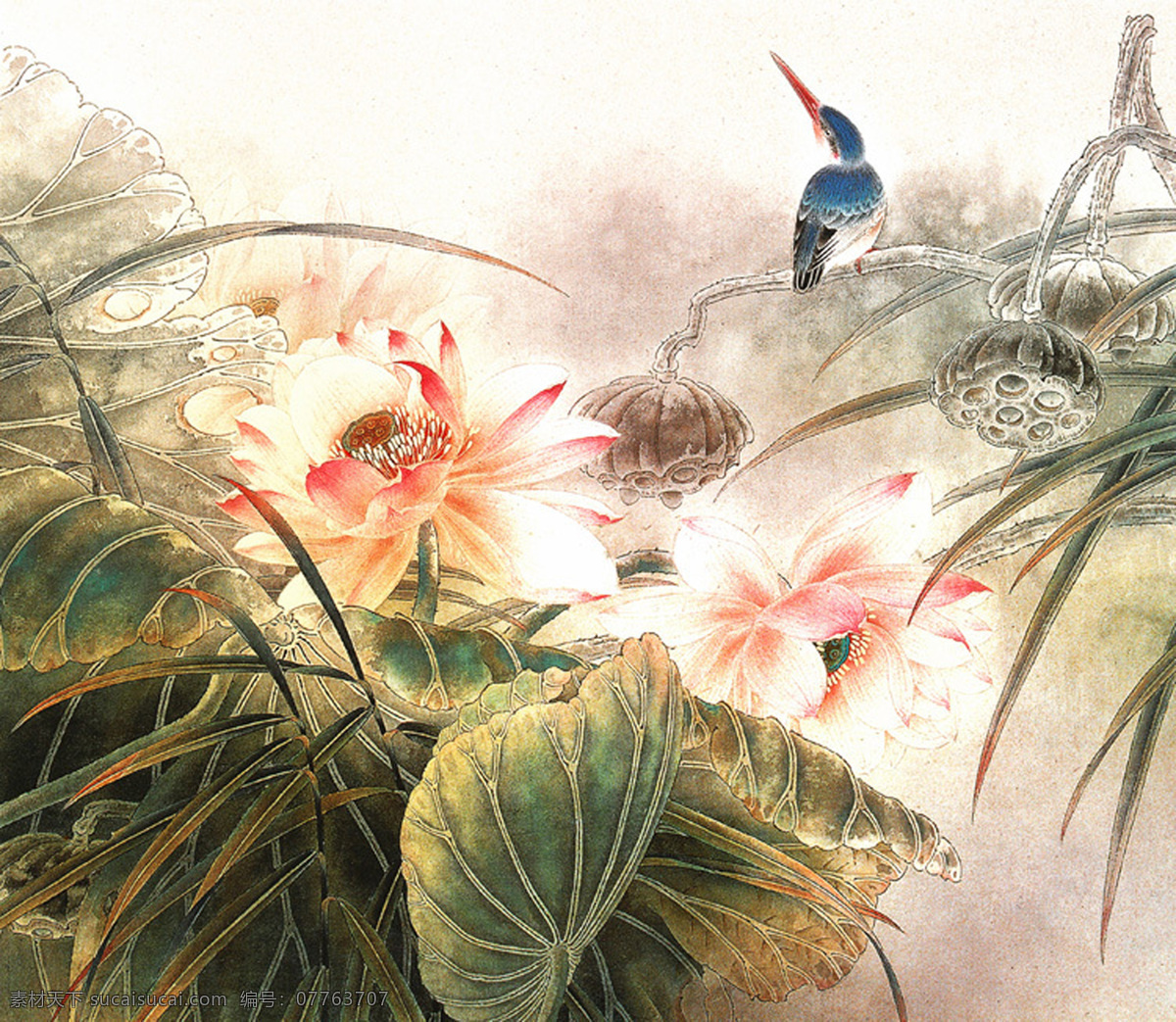 工笔荷花 花鸟图 工笔 国画 荷花 花鸟 芦苇 叶子 文化艺术 绘画书法