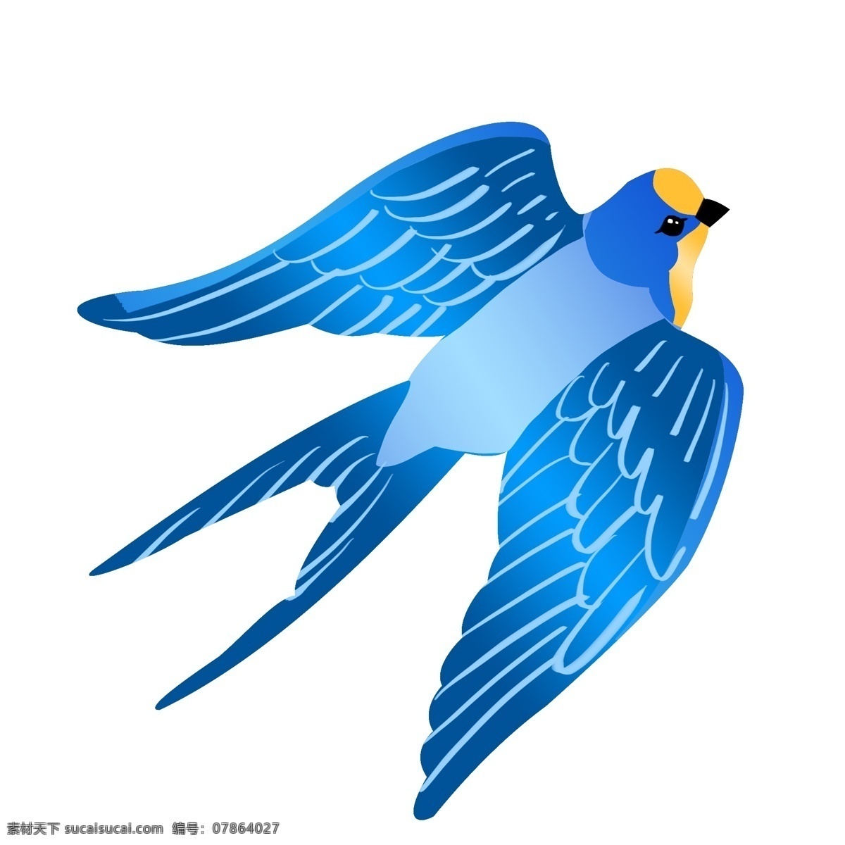 蓝色 飞翔 燕子 插画 展开的翅膀 鸟 动物 手绘燕子 春季 漂亮的燕子 飞燕插画 蓝色燕子 煽动的翅膀