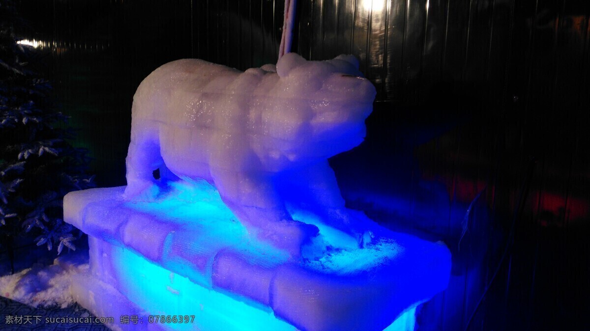 冰雕 冰雪 冰雪世界 冰 冰块熊 艺术品 动物 文化艺术 黑色
