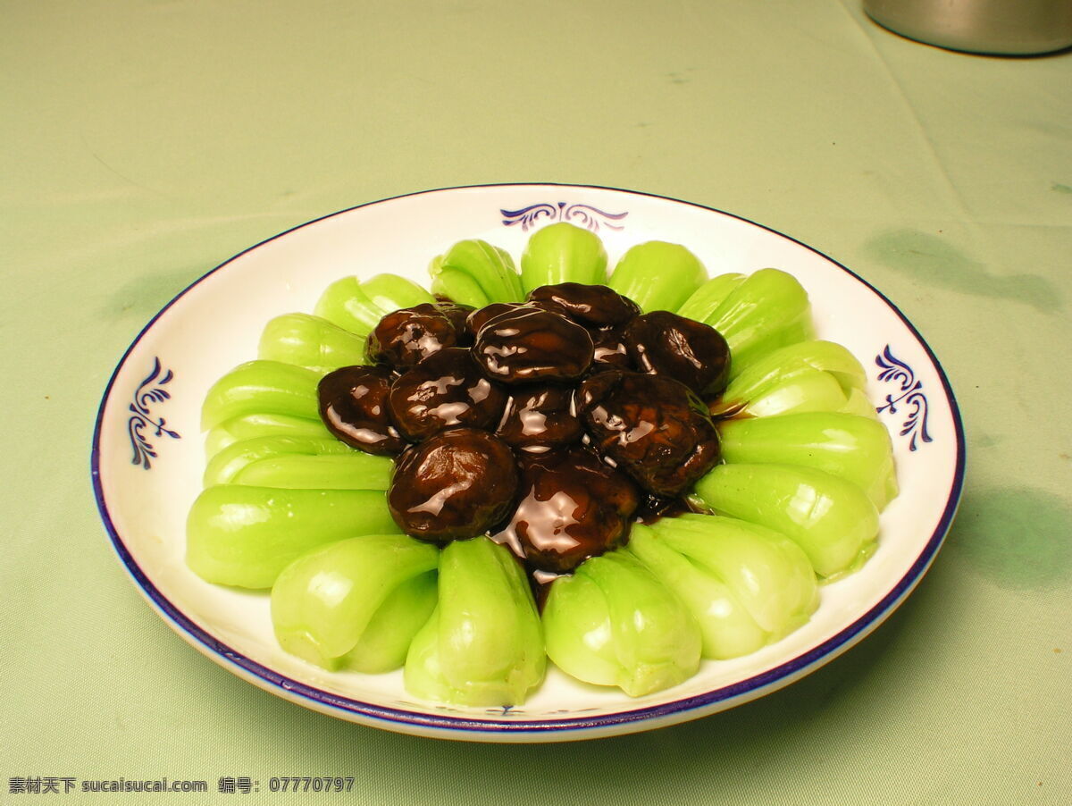 香菇 青菜 菜谱 美食 中华 万 年 盘子 点心 粤菜 湘菜 香菜 川菜 餐饮美食 传统美食 摄影图库