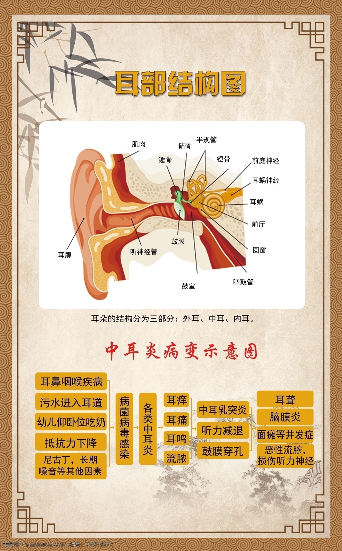 耳部结构图 养生 采耳 足疗 中耳炎
