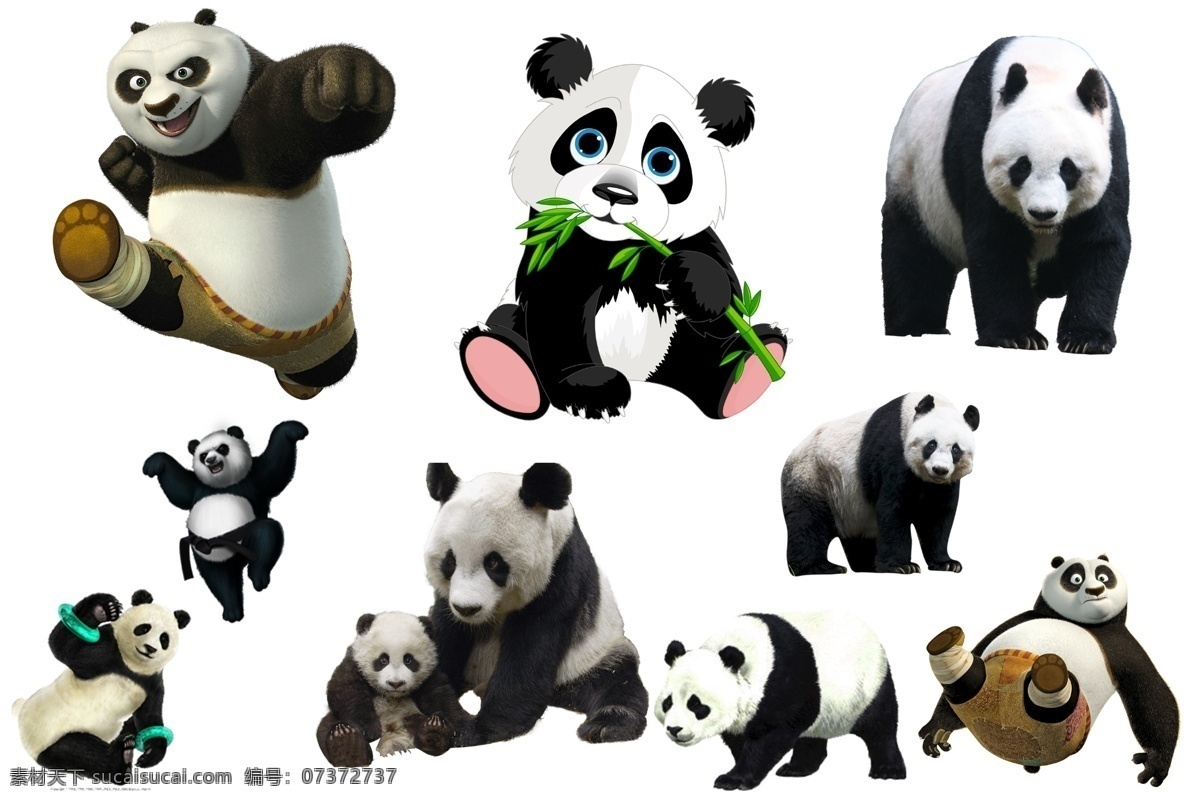 透明素材 png抠图 大熊猫 功夫熊猫 保护动物 国宝 可爱熊猫 非 原创 透明 合 辑 分层