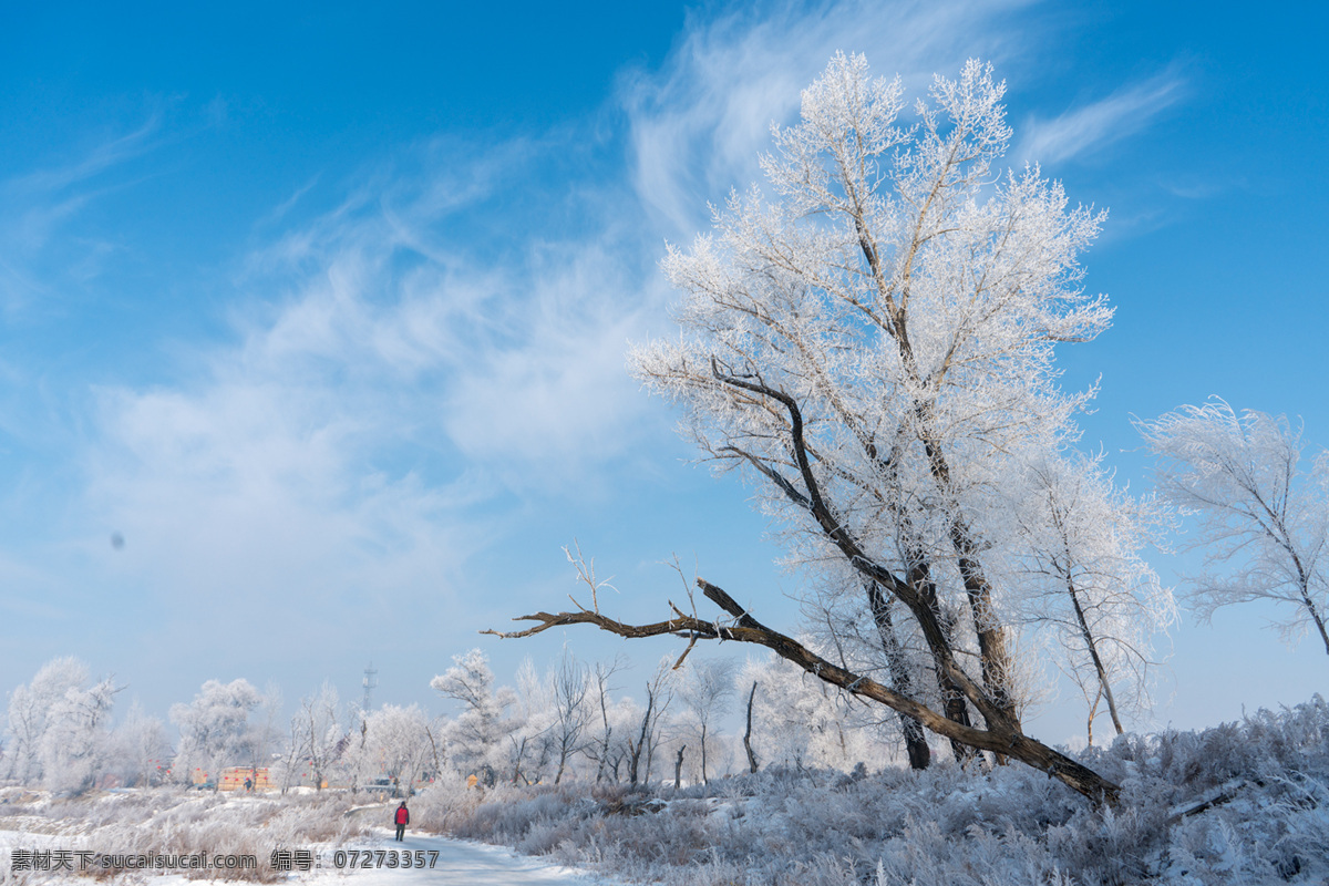 雾淞岛 吉林 雪 旅游 冬天 旅游摄影 国内旅游