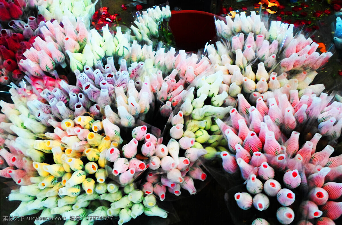 鲜花 花卉 花朵 鲜切花 呈贡 昆明 春天 春城 花 花草 花枝 农业 种植 玫瑰 玫瑰花 红玫瑰 生物世界 白色