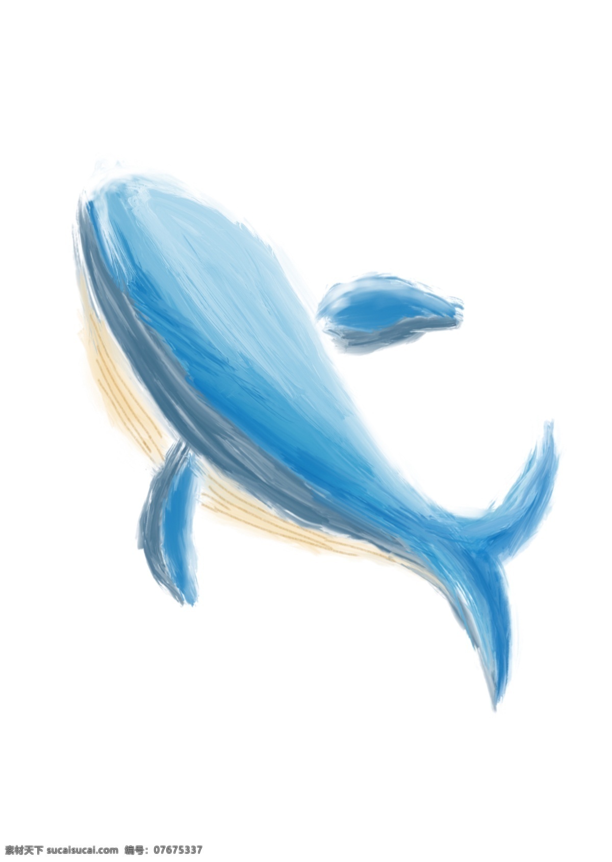手绘 卡通 鲸鱼 插画 鲸落 蓝色 鱼